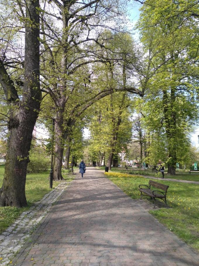 Apartament Panaceum- Panaceum Apartment Gdańsk Zewnętrze zdjęcie